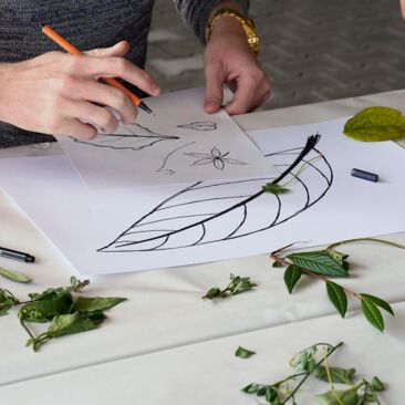 Stadt Singen künstlerische Aufwärtung Unterführung - Workshop mit Azubis Blätter zeichnen